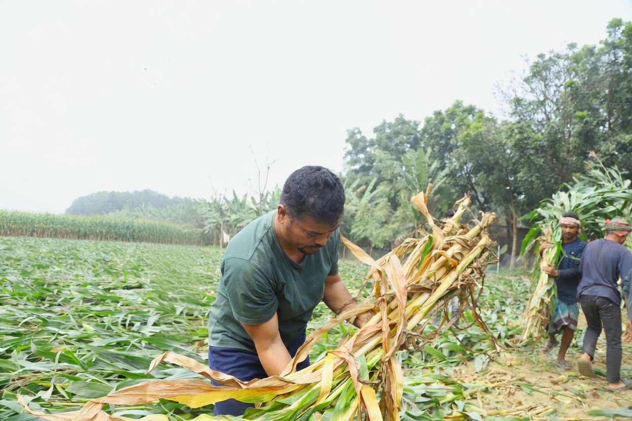 শ্রমিকের ঘাম নিয়ে ওয়াজ ও রাজনীতি : রিয়াদুল হাসান