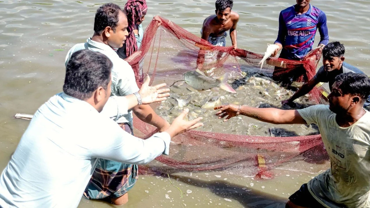 বাণিজ্যিক মাছ চাষ